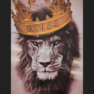 Lion_main